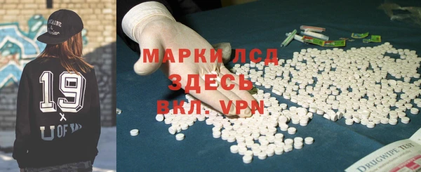 индика Бородино